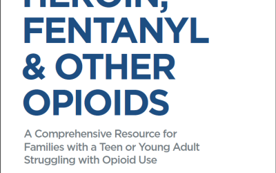 Parent Talk: Stages of Summer